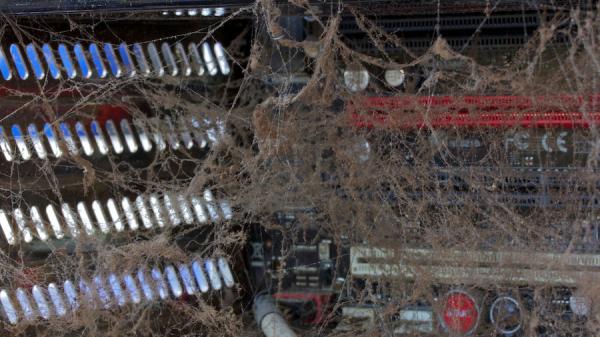 photo of Gallery showcases the dustiest, grimiest PCs in Germany — 400 images of fascinating horror for PC DIYers image